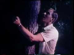 VCA Gay - LA Tool